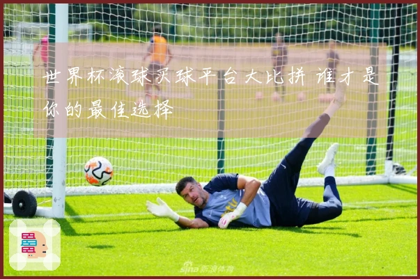 世界杯滚球买球平台大比拼 谁才是你的最佳选择