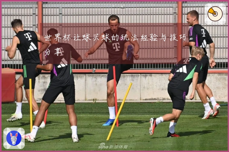 世界杯让球买球的玩法经验与技巧分享
