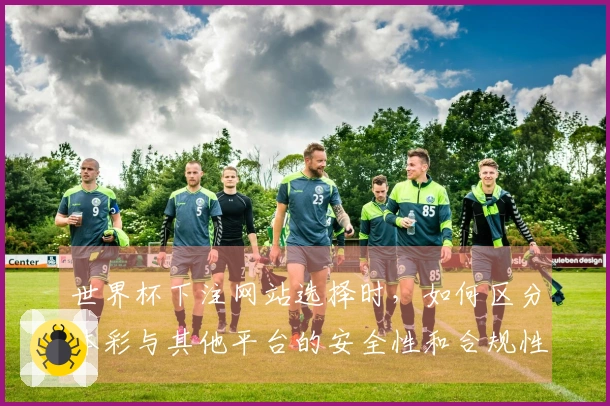 世界杯下注网站选择时，如何区分体彩与其他平台的安全性和合规性？
