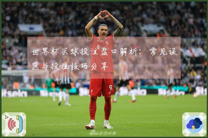世界杯买球投注盘口解析：常见误区与投注技巧分享