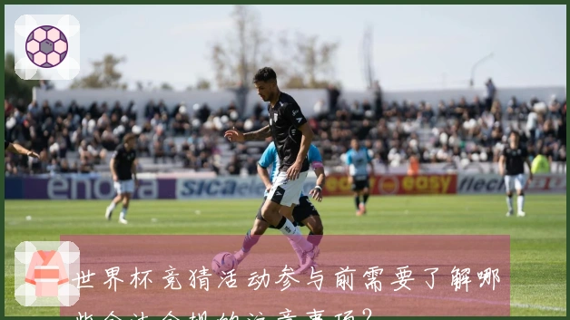 世界杯竞猜活动参与前需要了解哪些合法合规的注意事项？