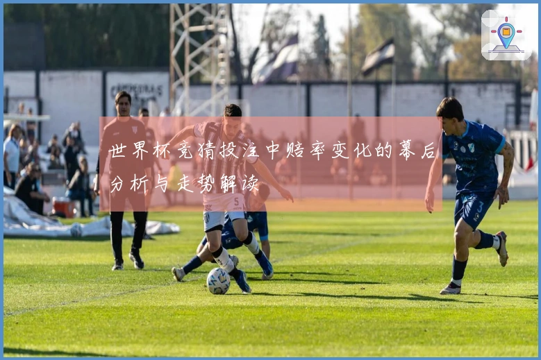 世界杯竞猜投注中赔率变化的幕后分析与走势解读