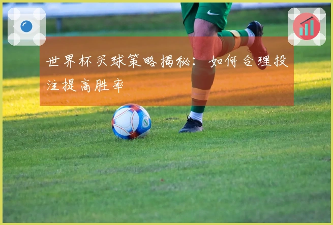 世界杯买球策略揭秘：如何合理投注提高胜率