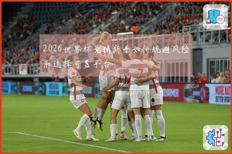 2026世界杯竞猜新手如何规避风险和选择可靠平台