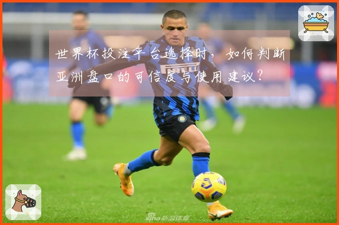 世界杯投注平台选择时，如何判断亚洲盘口的可信度与使用建议？