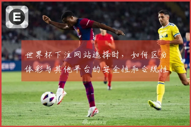 世界杯下注网站选择时，如何区分体彩与其他平台的安全性和合规性？