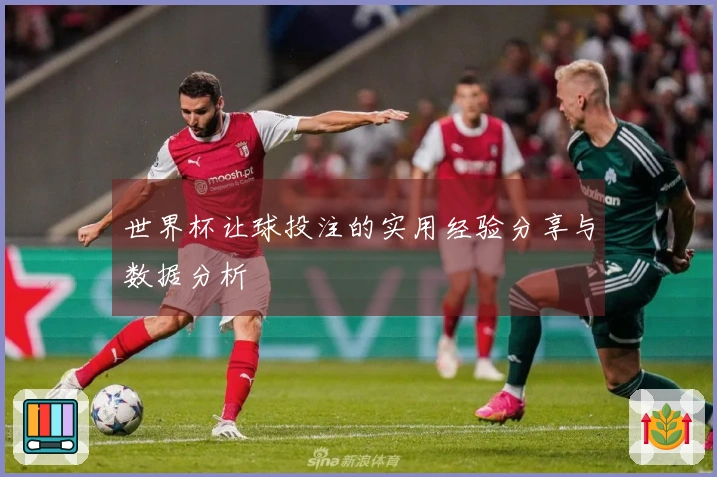 世界杯让球投注的实用经验分享与数据分析