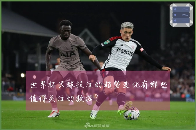 世界杯买球投注的趋势变化有哪些值得关注的数据？