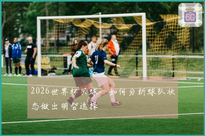2026世界杯买球，如何分析球队状态做出明智选择