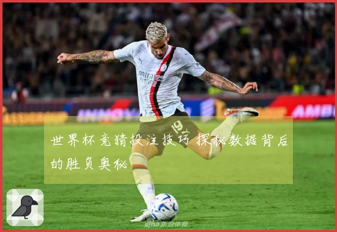 世界杯竞猜投注技巧 探秘数据背后的胜负奥秘