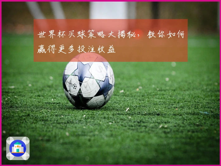 世界杯买球策略大揭秘，教你如何赢得更多投注收益