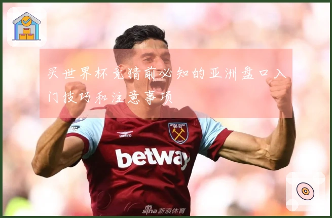 买世界杯竞猜前必知的亚洲盘口入门技巧和注意事项