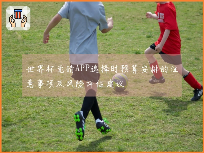 世界杯竞猜APP选择时预算安排的注意事项及风险评估建议