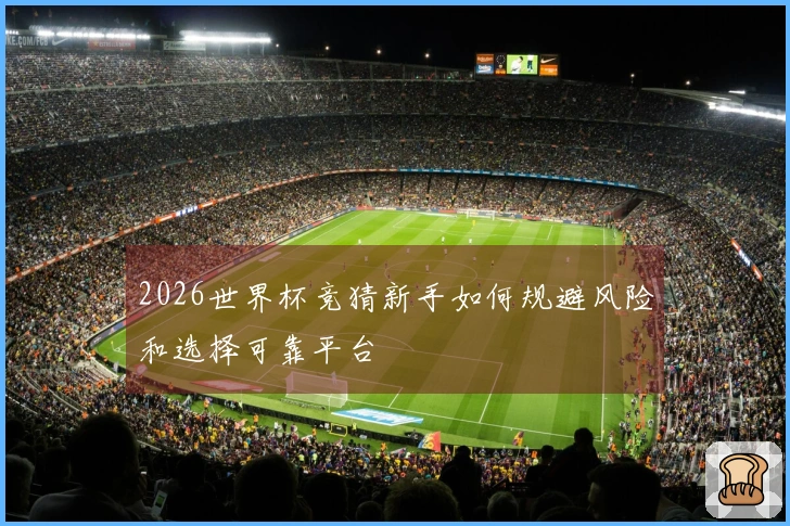 2026世界杯竞猜新手如何规避风险和选择可靠平台