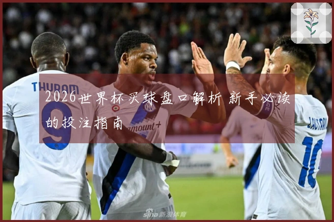 2026世界杯买球盘口解析 新手必读的投注指南