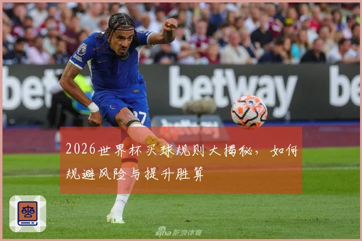 2026世界杯买球规则大揭秘，如何规避风险与提升胜算