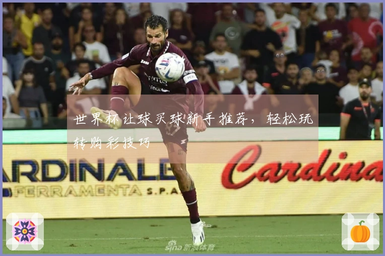 世界杯让球买球新手推荐，轻松玩转购彩技巧