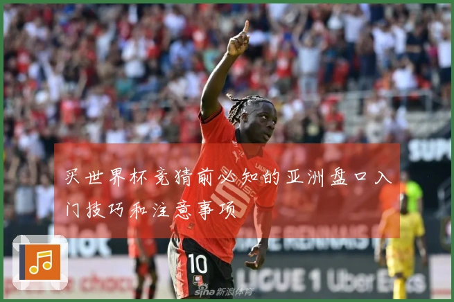 买世界杯竞猜前必知的亚洲盘口入门技巧和注意事项