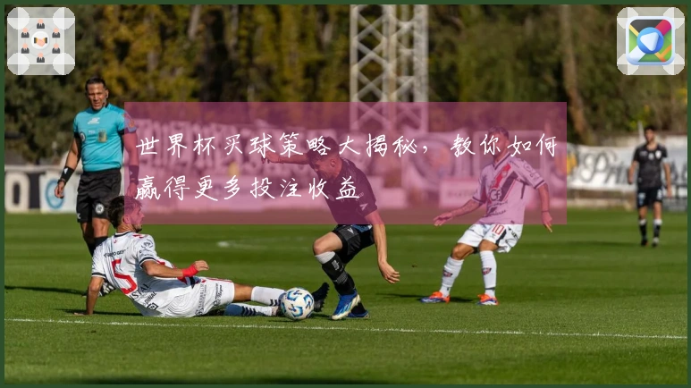 世界杯买球策略大揭秘,教你如何赢得更多投注收益