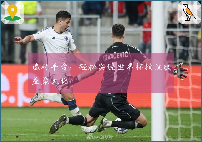 选对平台，轻松实现世界杯投注收益最大化
