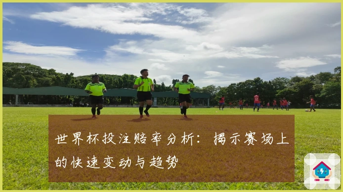 世界杯投注赔率分析：揭示赛场上的快速变动与趋势