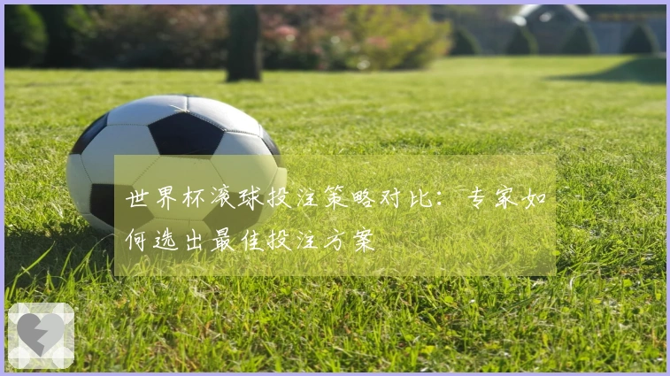 世界杯滚球投注策略对比：专家如何选出最佳投注方案