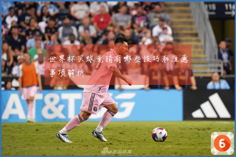 世界杯买球竞猜有哪些技巧和注意事项解析