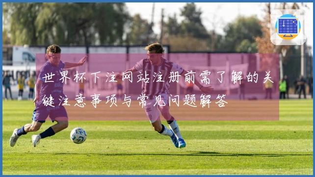 世界杯下注网站注册前需了解的关键注意事项与常见问题解答