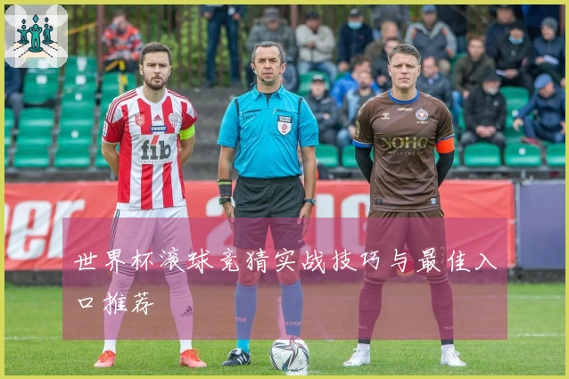 世界杯滚球竞猜实战技巧与最佳入口推荐